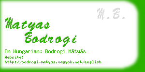 matyas bodrogi business card